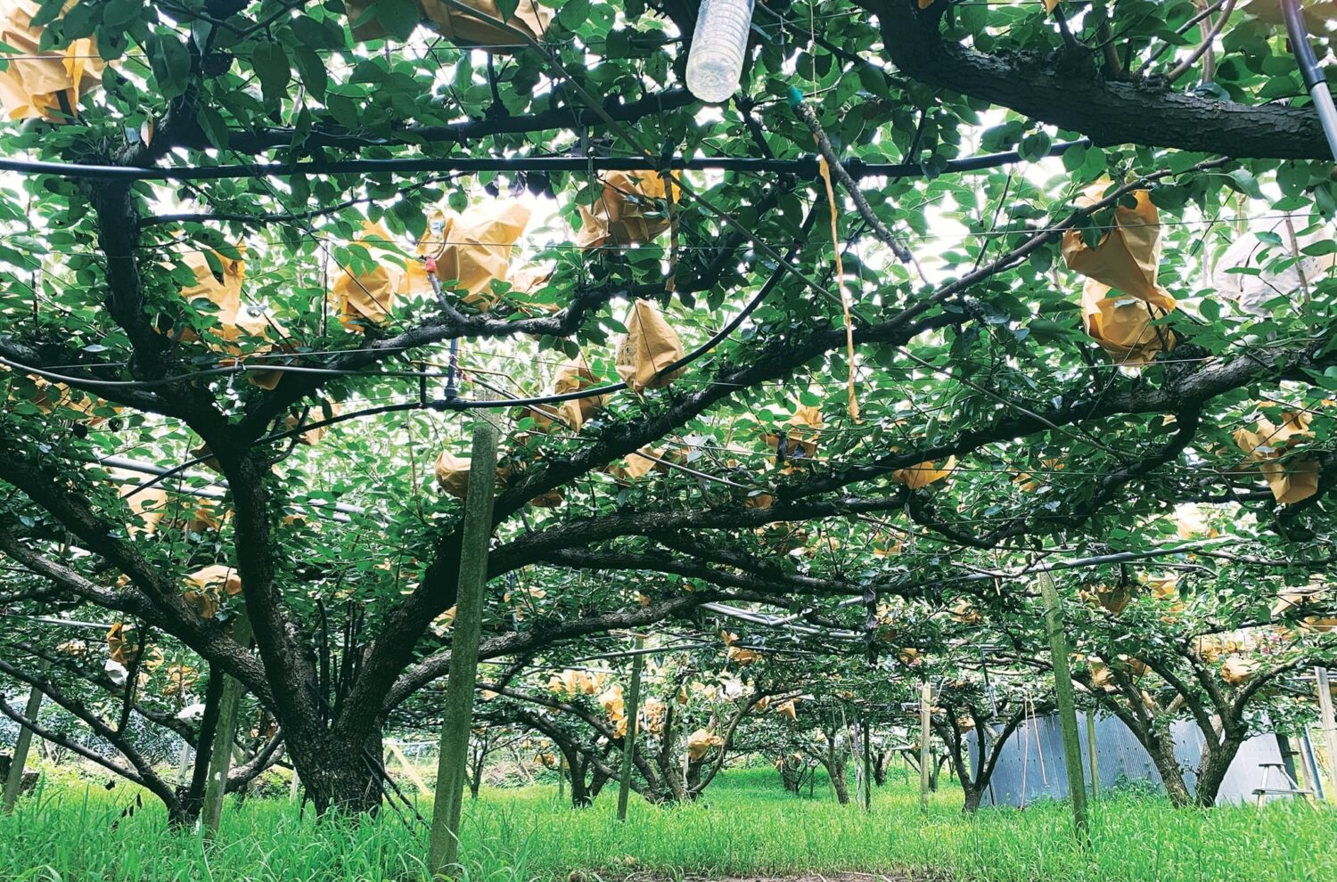 惜福封面 限量超值|惜福回饋箱